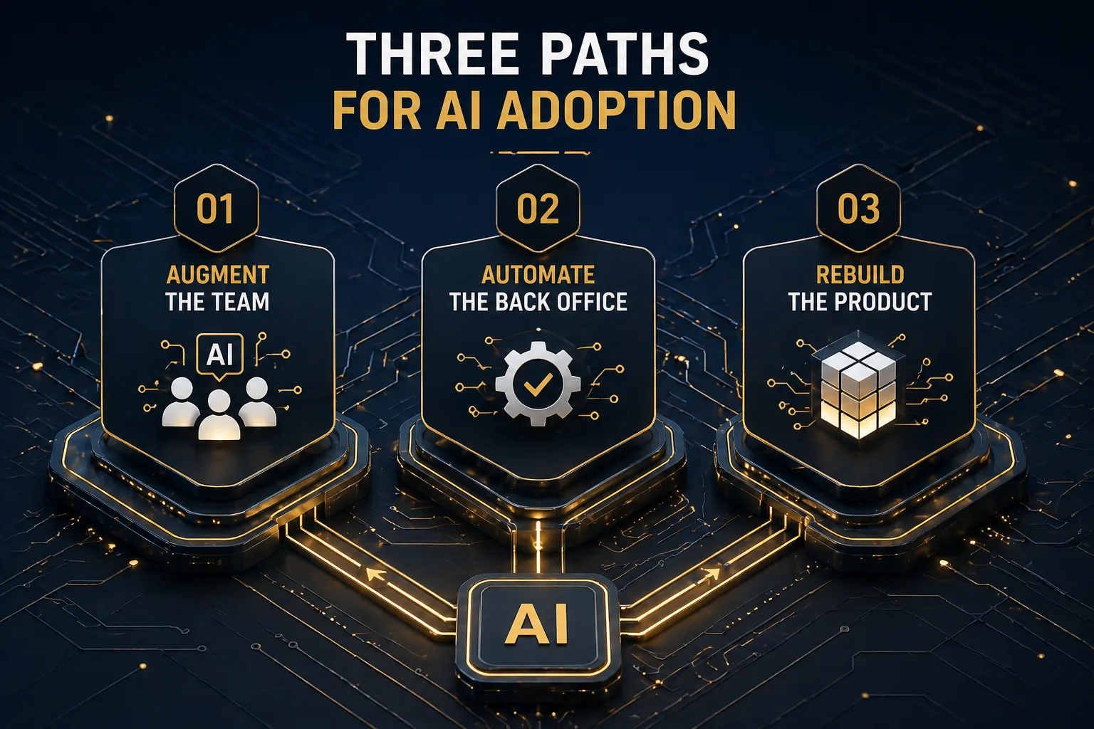 Three Paths for AI Adoption